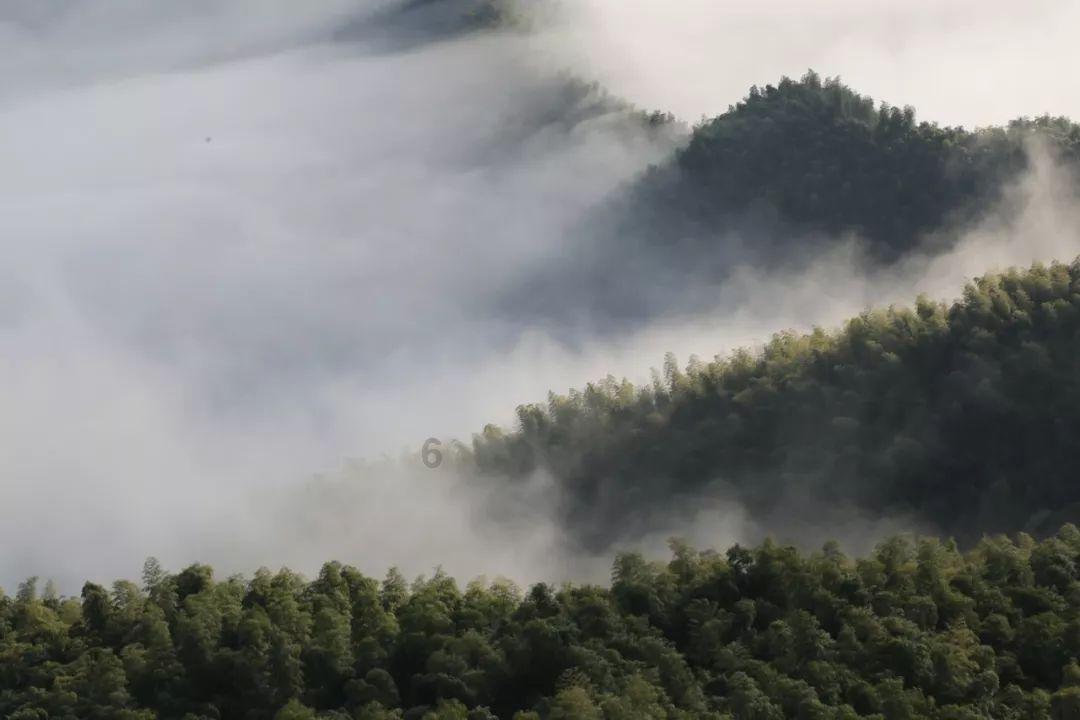 邻居的需求